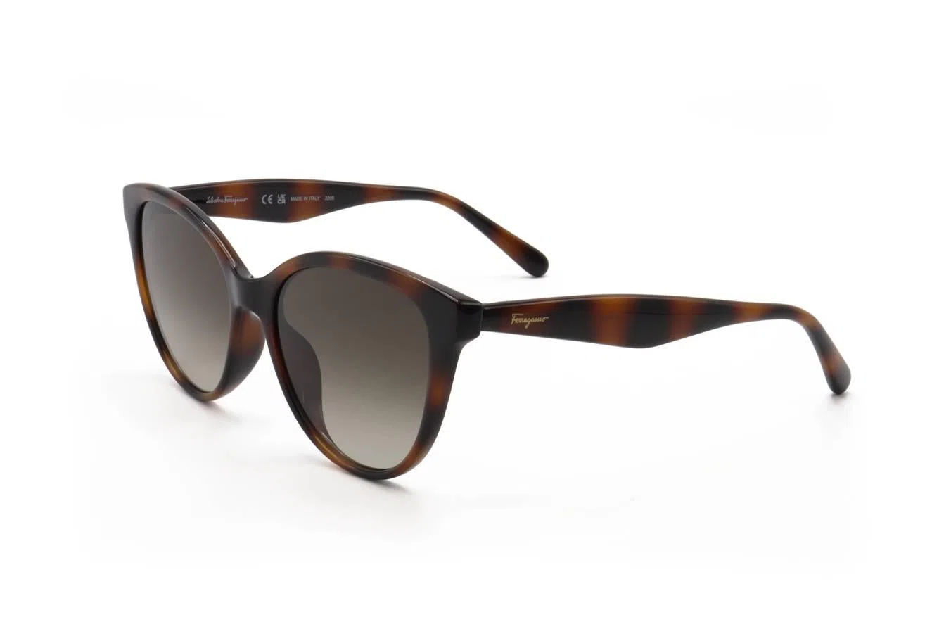 Ferragamo SF1073S Sunglasses - view 3